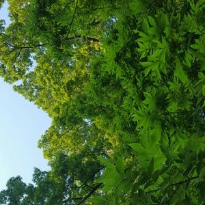 Meet your Posher, Nina