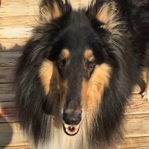 Meet your Posher, Donna