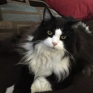 Meet your Posher, Marion