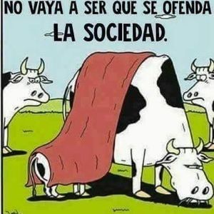 Meet your Posher, Issa