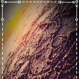 Meet your Posher, Lora