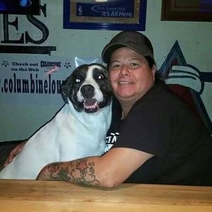 Meet your Posher, Stella