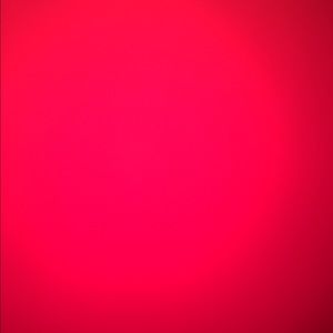 Meet your Posher, Bridget