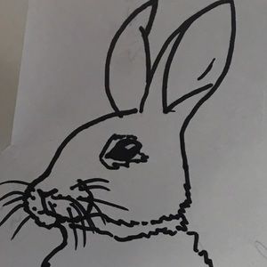 Meet your Posher, Bridget