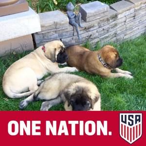 Meet your Posher, Shelly