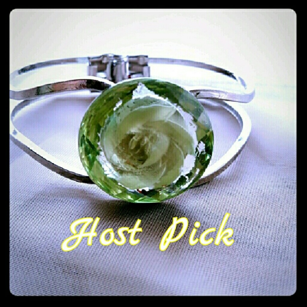 HP Entangled Earth flower in glass silver bangle