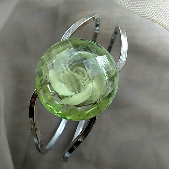HP Entangled Earth flower in glass silver bangle - Picture 2 of 4