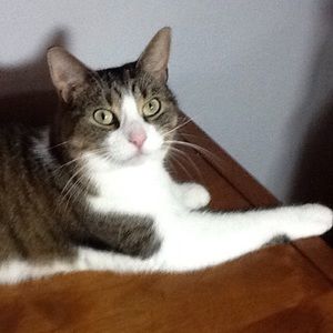 Meet your Posher, Colleen