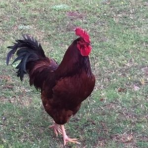 Meet your Posher, Kathy