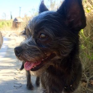 Meet your Posher, Jazmin