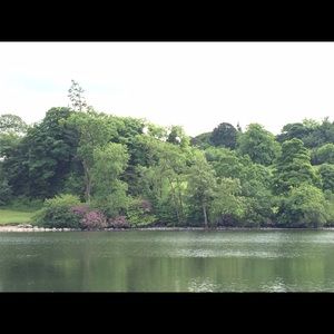 Meet your Posher, Becky