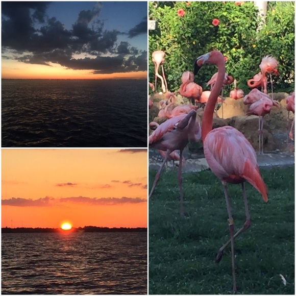 Meet your Posher, Jennifer - Picture 3 of 4