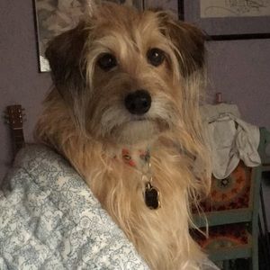 Meet your Posher, Caroline