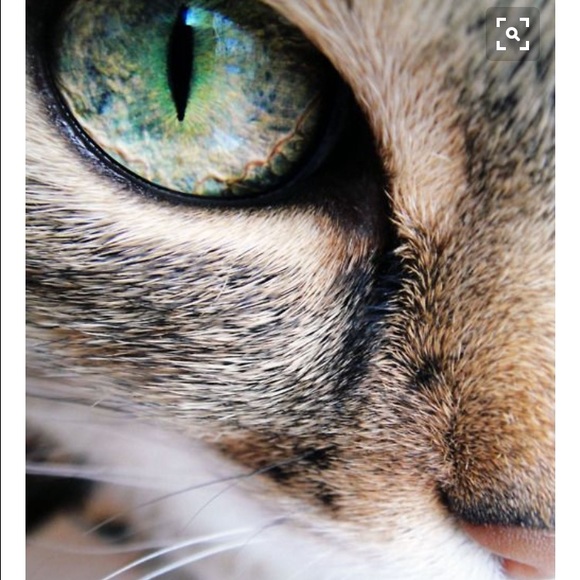 Meet your Posher, Tatiana