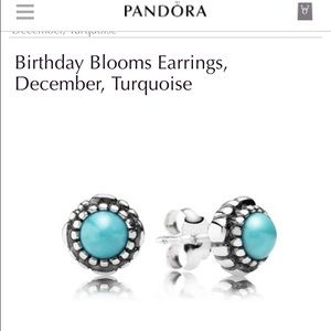 Pandora Birthday Earrings (December)