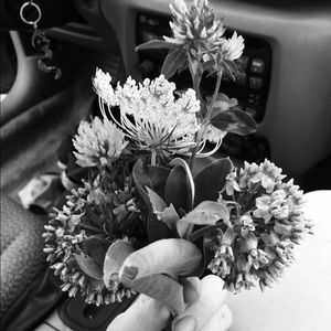 Meet your Posher, Mollie