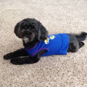 Meet your Posher, Jeanne