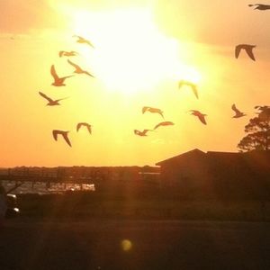 Meet your Posher, Joanne