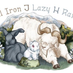 Meet your Posher, Joyce