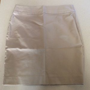 Banana Republic Skirt.