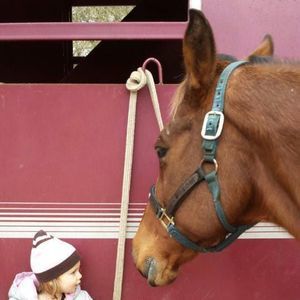 Meet your Posher, Connie