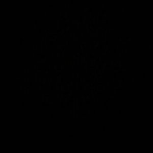 Meet your Posher, Marisol