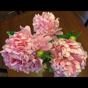 Meet your Posher, Vicki