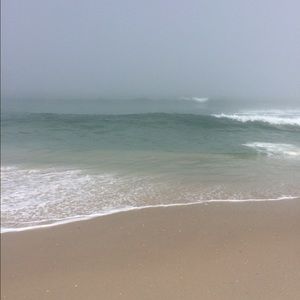 Meet your Posher, Ava