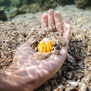 Meet your Posher, Avery