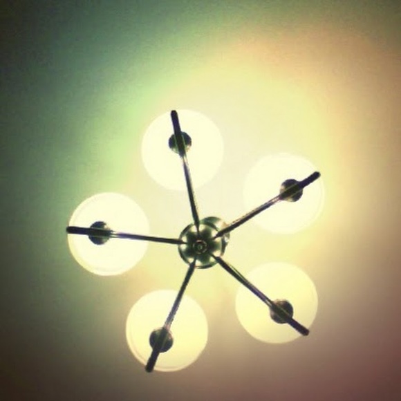 Meet your Posher, Delmi - Picture 1 of 1