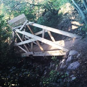 Meet your Posher, Bailey