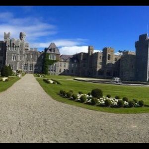 Meet your Posher, Robin