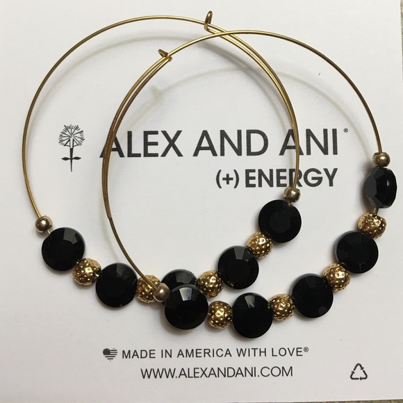 Alex & Ani earrings