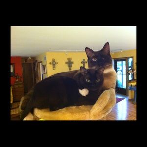 Meet your Posher, Betty