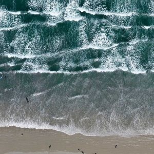 Meet your Posher, Allyson