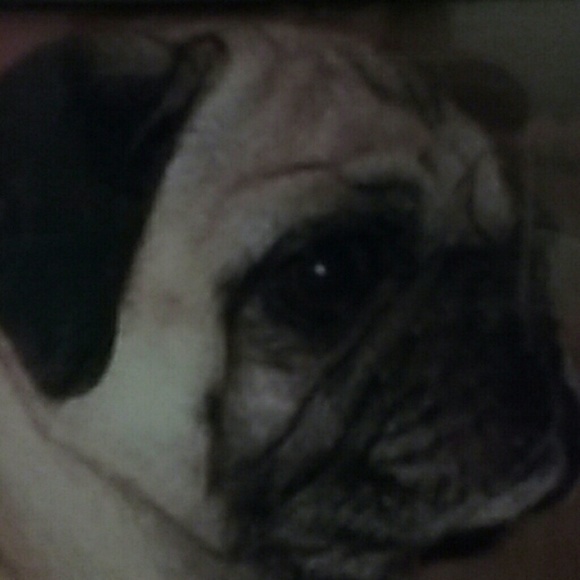 Meet your Posher, Lori