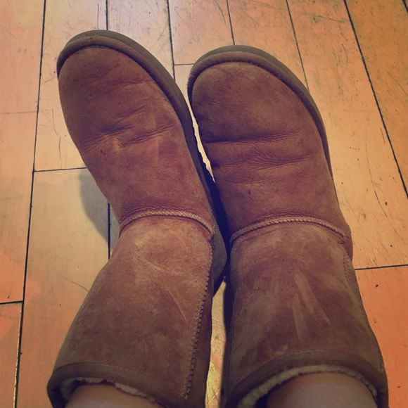 Ugg Boots! Chestnut short!