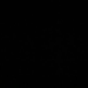 Meet your Posher, Porscha