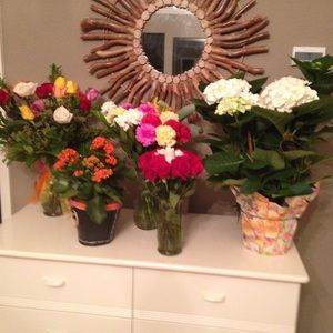 Meet your Posher, Cathy