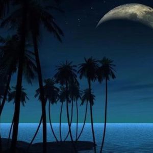 Meet your Posher, Harmony