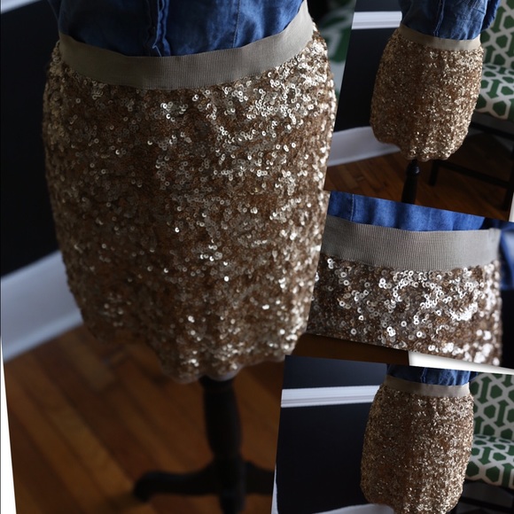 Lands' End skirt.