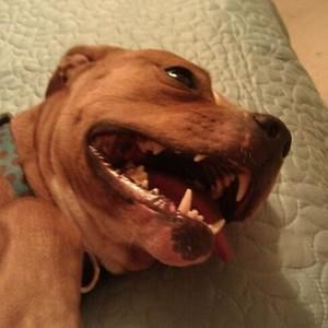 Meet your Posher, Lindsay