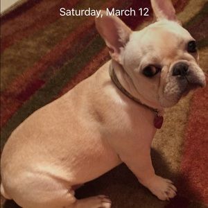 Meet your Posher, Rachel