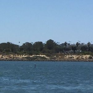 Meet your Posher, Beccah