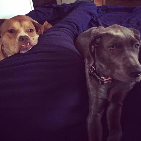 Meet your Posher, Sarah - Picture 5 of 5