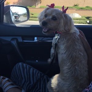 Meet your Posher, Eileen