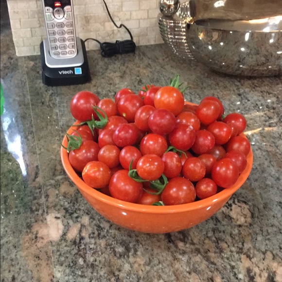 Meet your Posher, Jane - Picture 1 of 1