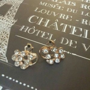 Swan earrings