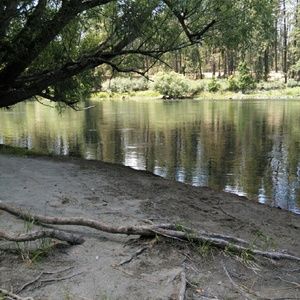 Meet your Posher, Mikayla