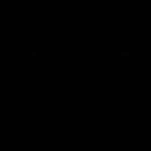 Meet your Posher, Maricela